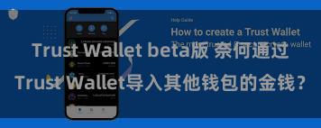 Trust Wallet beta版 奈何通过Trust Wallet导入其他钱包的金钱？