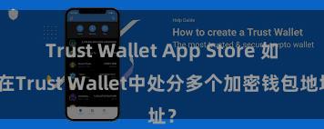 Trust Wallet App Store 如安在Trust Wallet中处分多个加密钱包地址？