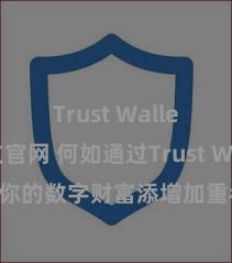 Trust Wallet中文官网 何如通过Trust Wallet为你的数字财富添增加重考据安全次第？