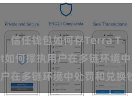 信任钱包如何存Terra Trust Wallet如何撑执用户在多链环境中处罚和兑换钞票？