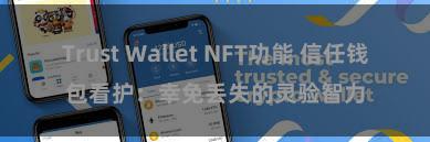 Trust Wallet NFT功能 信任钱包看护：幸免丢失的灵验智力